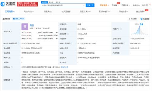 人工智能基礎軟件開發 構建智能未來的技術基石